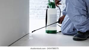 Sofa & Carpet Cleaning – Bring Back the New Look