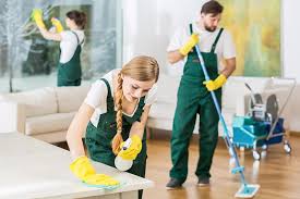 Spotless & Safe: Expert Cleaning and Pest Control Services” “Maintain Hygiene and Protect Your Home or Office