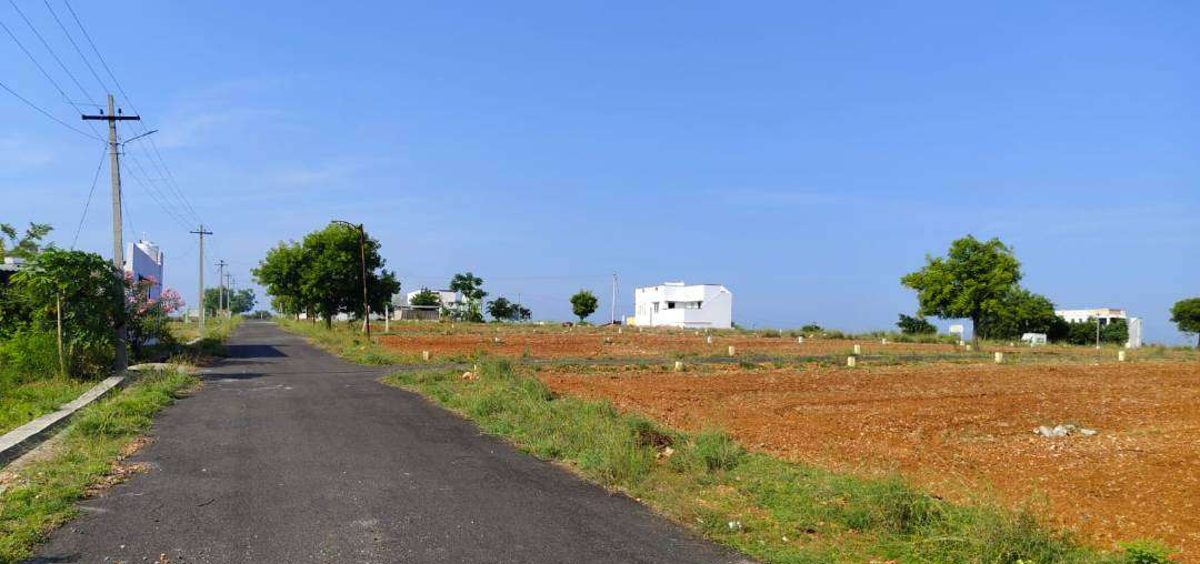 From Soil to Site: Where Land Becomes Lifestyle