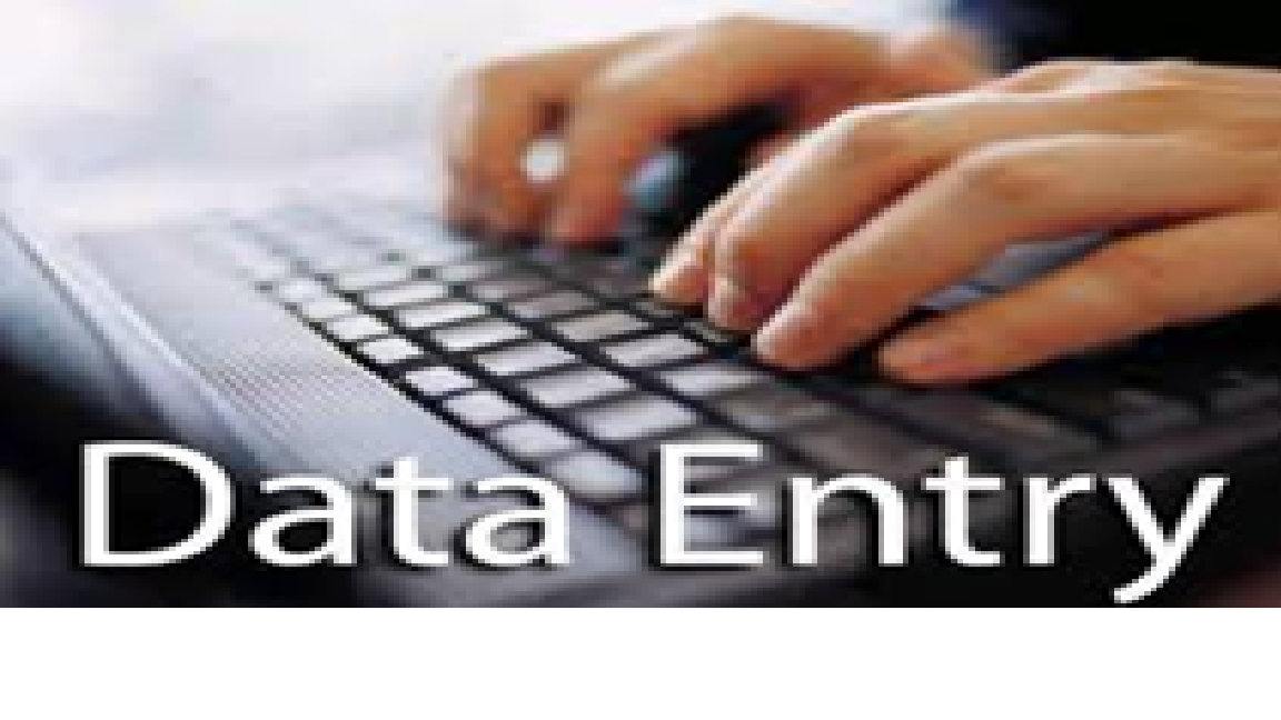 Let Us Handle the Boring Stuff – Expert Data Entry, Done Right