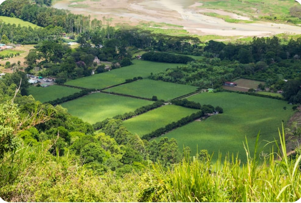 The Untapped Potential of Land: Why Owning Dirt Is Pure Gold