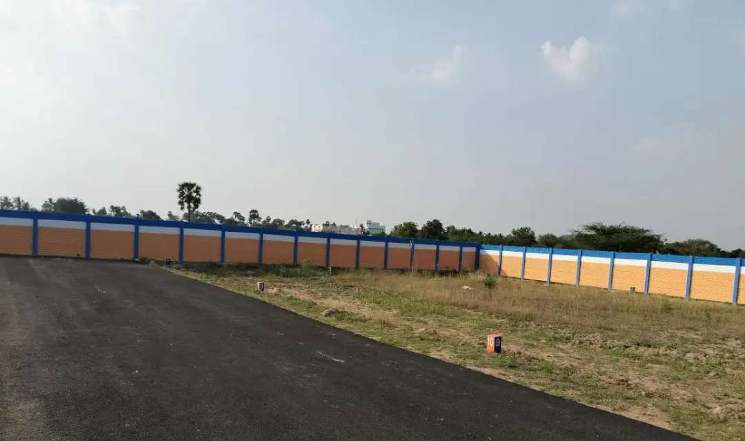 Real Roots: Land You Can Trust, Prices You Can Afford 