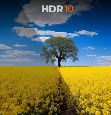 BESTON 140 cm (55 inch) QLED Ultra HD (4K) Smart Google TV 2025 Edition  (BS55UGTV)