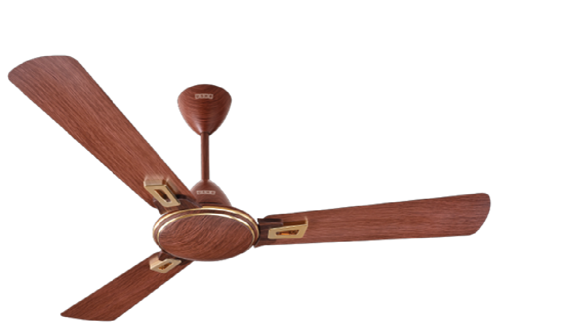Beat the Heat with Budget-Friendly Air Coolers – Shop Now
