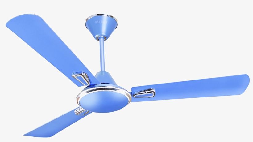 🌬️🌀 The Power of the Breeze: Why Fans Are Still the Coolest Companions