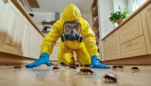 Bathroom & Kitchen Cleaning – Where Hygiene Matters Most