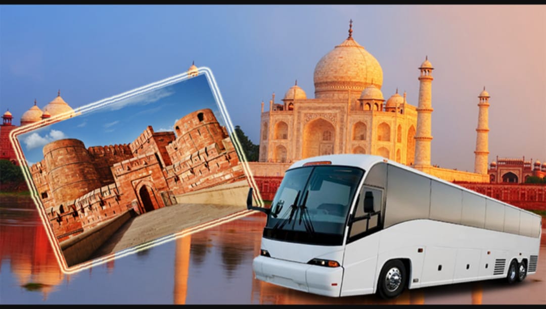 Stop Dreaming, Start Packing: How Our Tour Services Make Travel Effortless