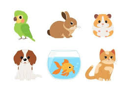 colorful pets for kids
